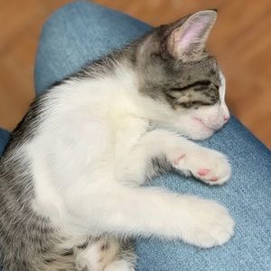 Meet your Posher, Nayelly